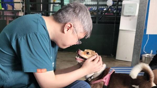 跨越国界的温情 Vantage基金会志愿者为越南Laws for Paws收容犬只带来家的希望